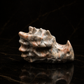 Peach and Grey Jasper Dragon Head Carving