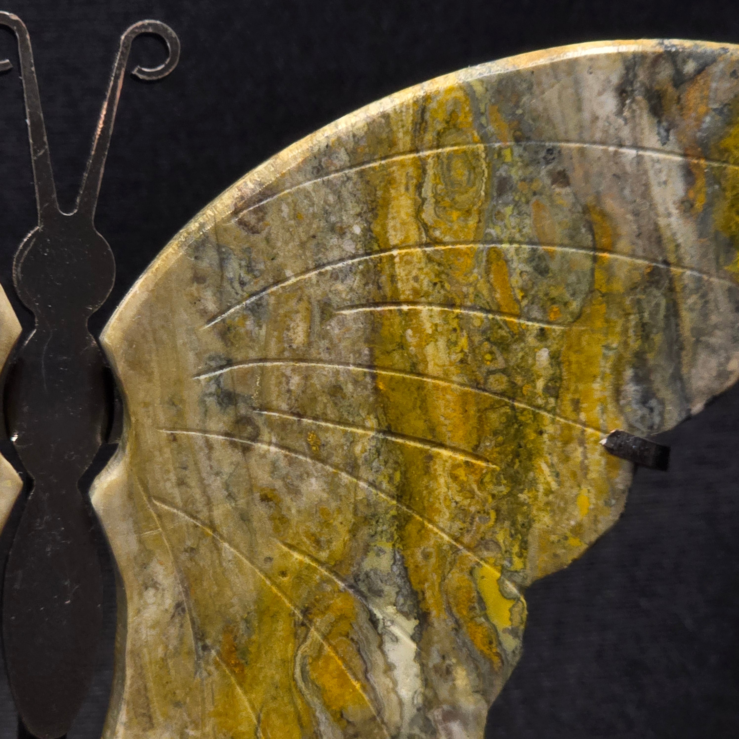 Bumblebee Jasper Butterfly Carving on Stand