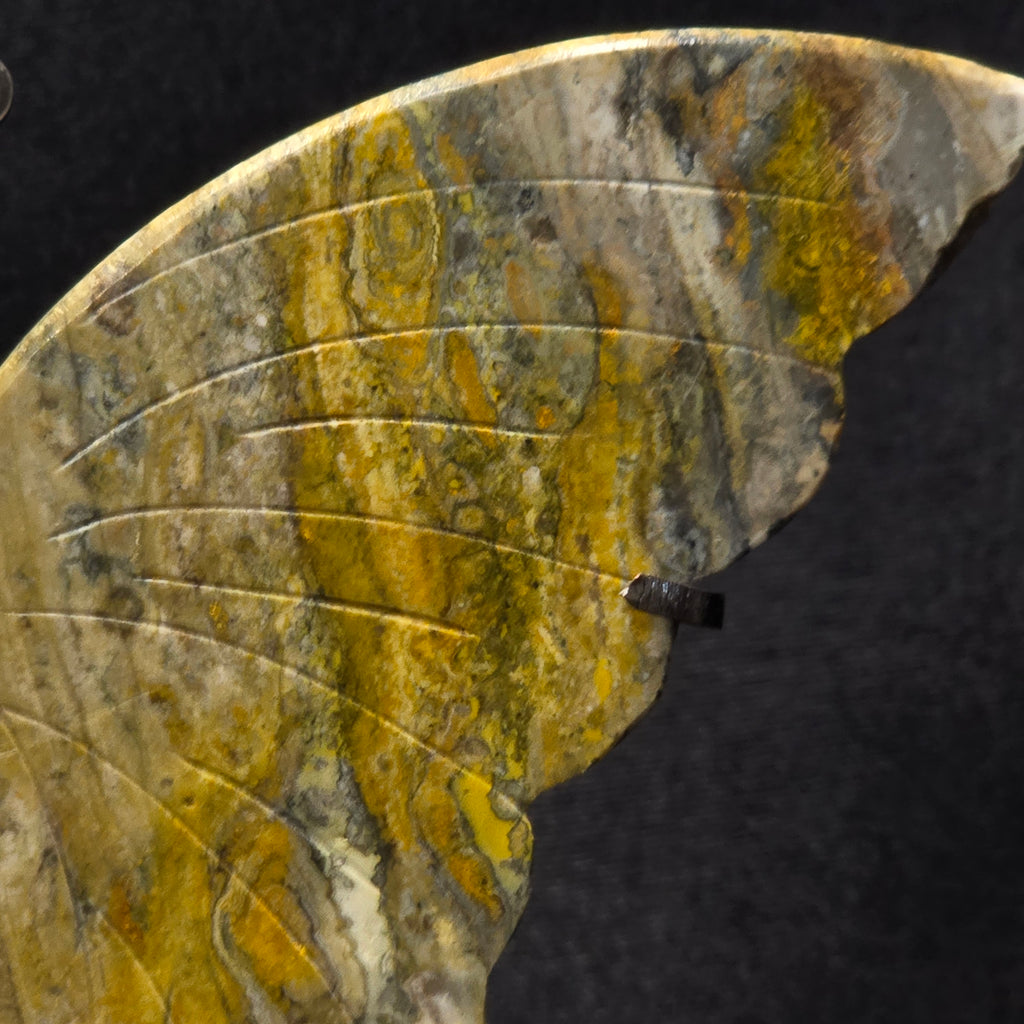 Bumblebee Jasper Butterfly Carving on Stand