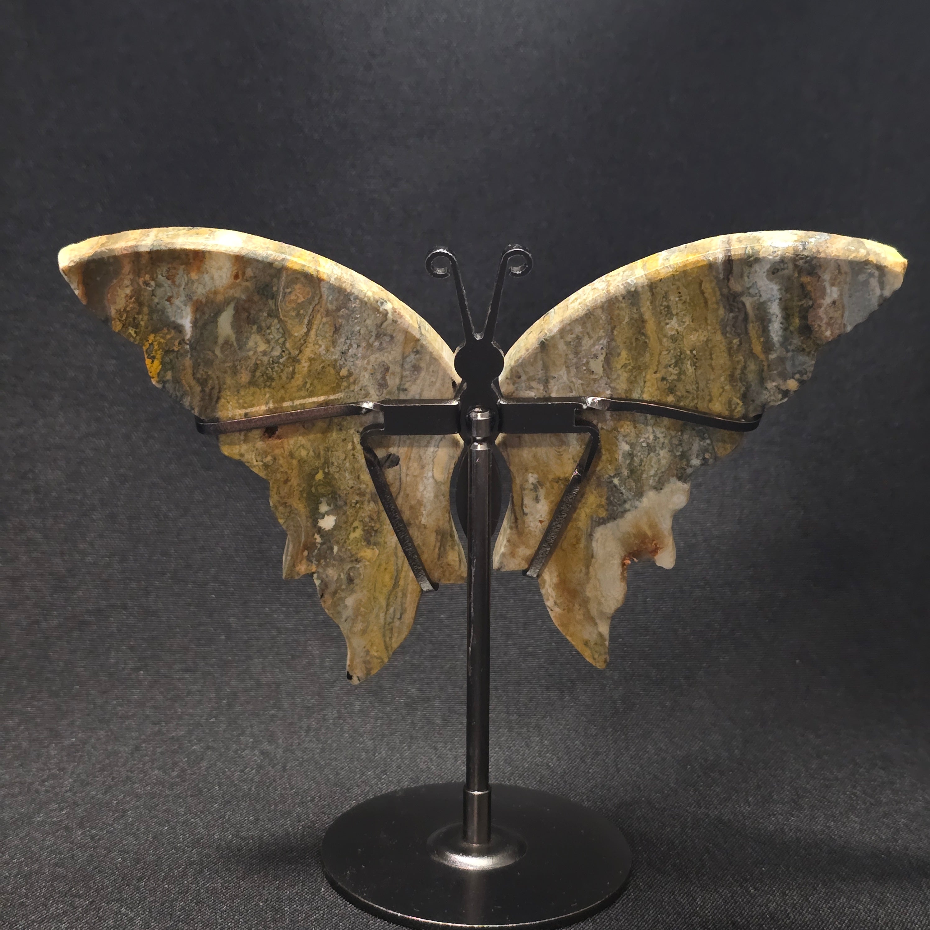 Bumblebee Jasper Butterfly Carving on Stand