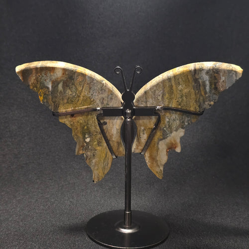 Bumblebee Jasper Butterfly Carving on Stand