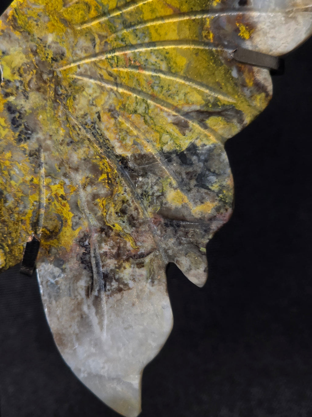 Bumblebee Jasper Butterfly Carving on Stand