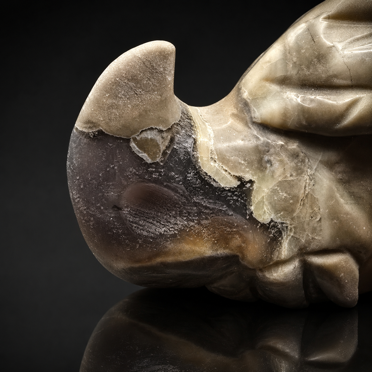Septarian Dragon Head Carving